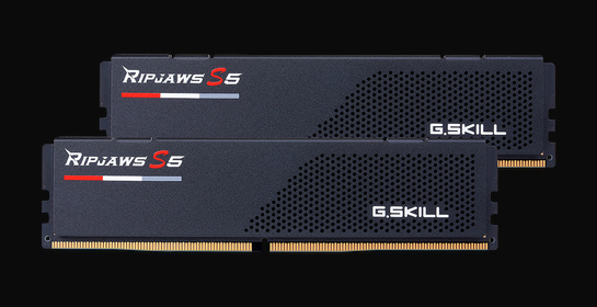 G.Skill F5-5200U4040A16GX2-RS5K (DDR5-5200 CL40 16GB×2)