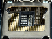 P55_lib_gold.jpg