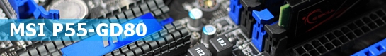 mem_guide_msi_p55.jpg