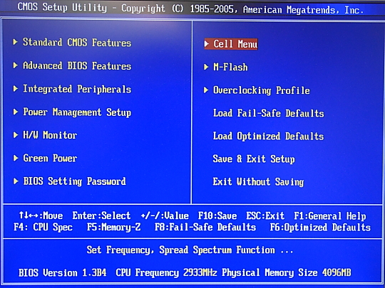 msi_p55_mem0002.JPG
